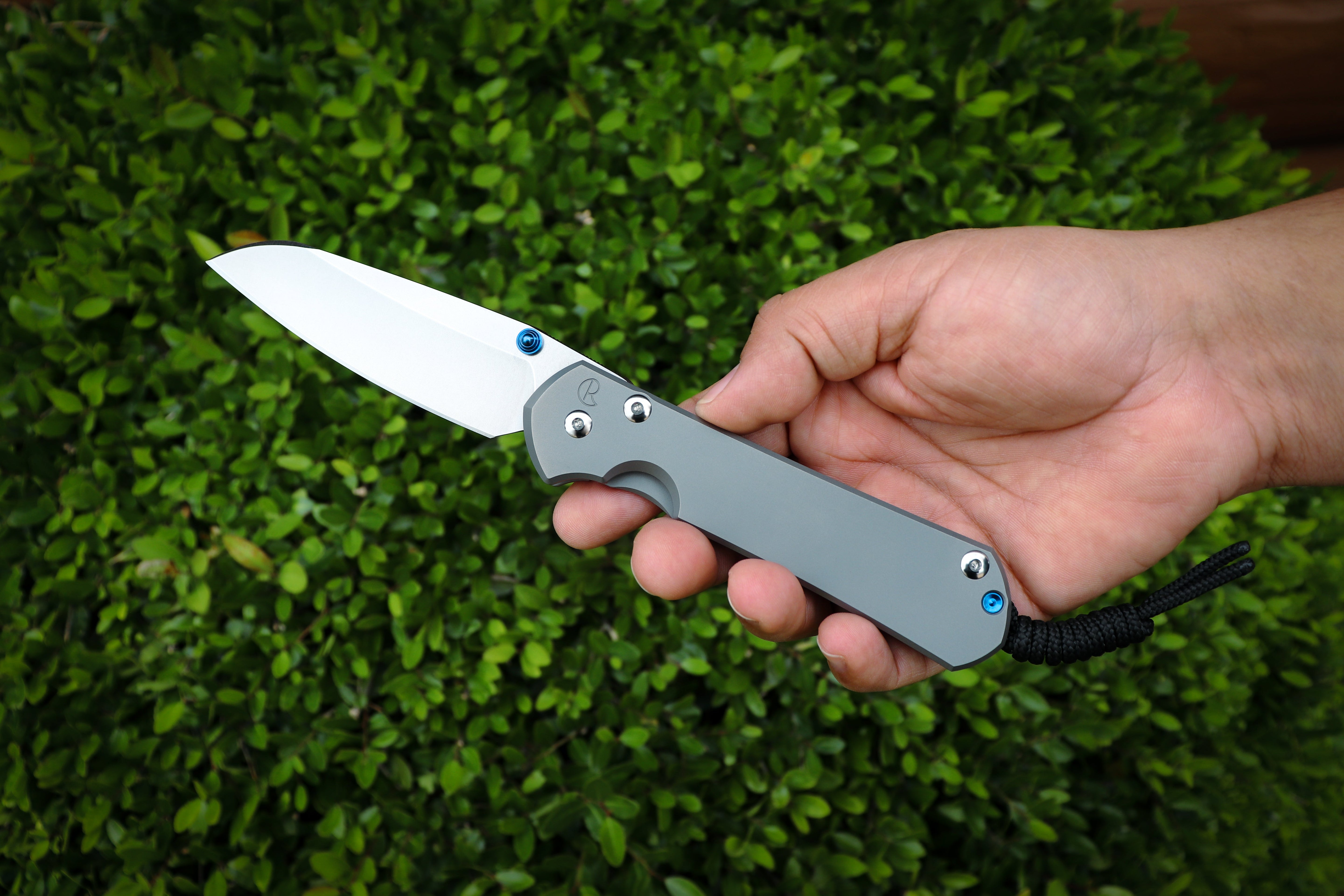The Complete Sebenza 31 Guide: Everything You Need to Know