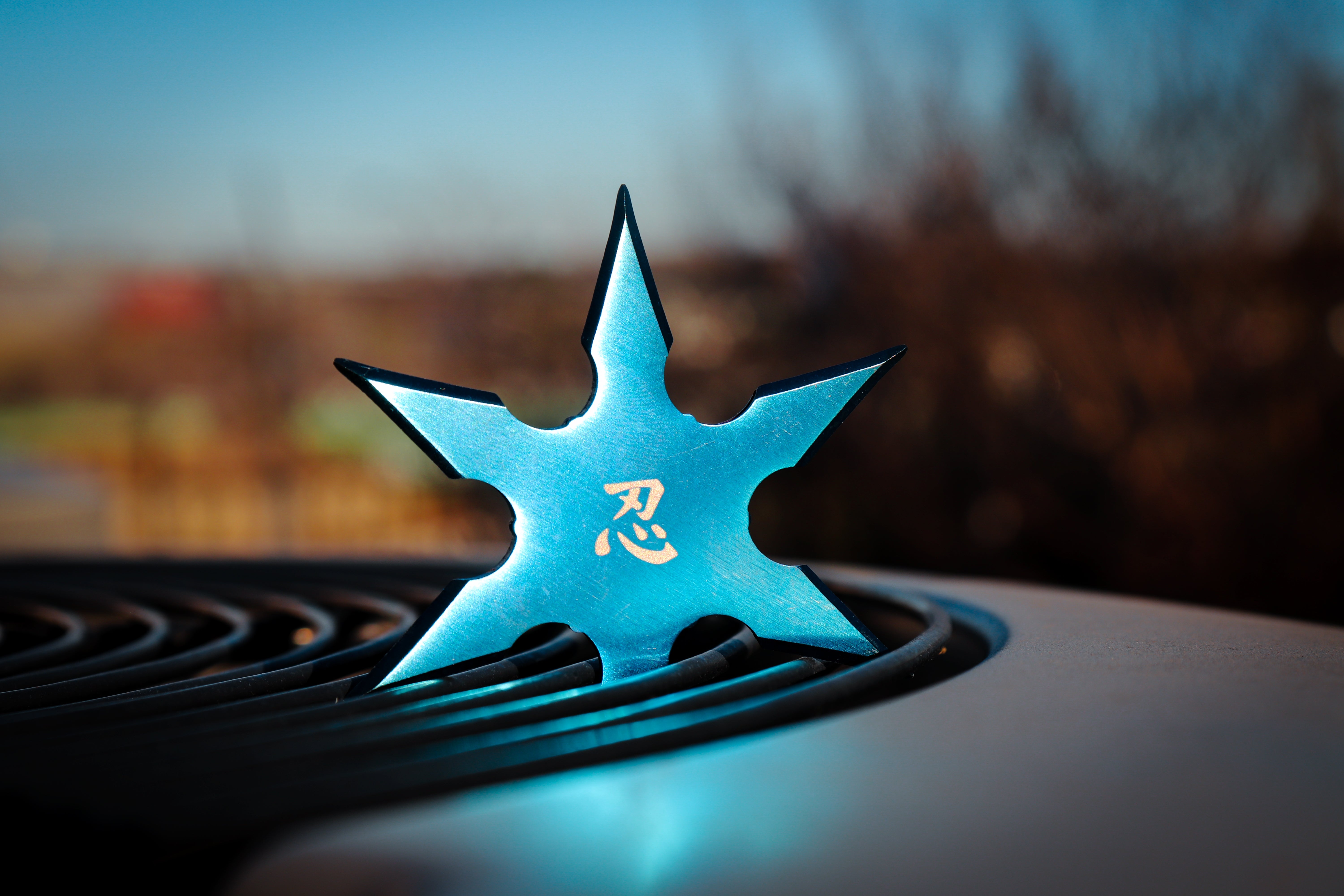 Throwing Knives/Stars