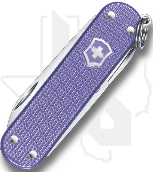 Victorinox Classic SD Alox 0.6221.223G - Electric Lavender