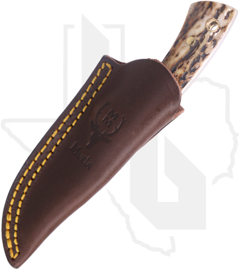 Muela Colibri 02MU018 - Stag