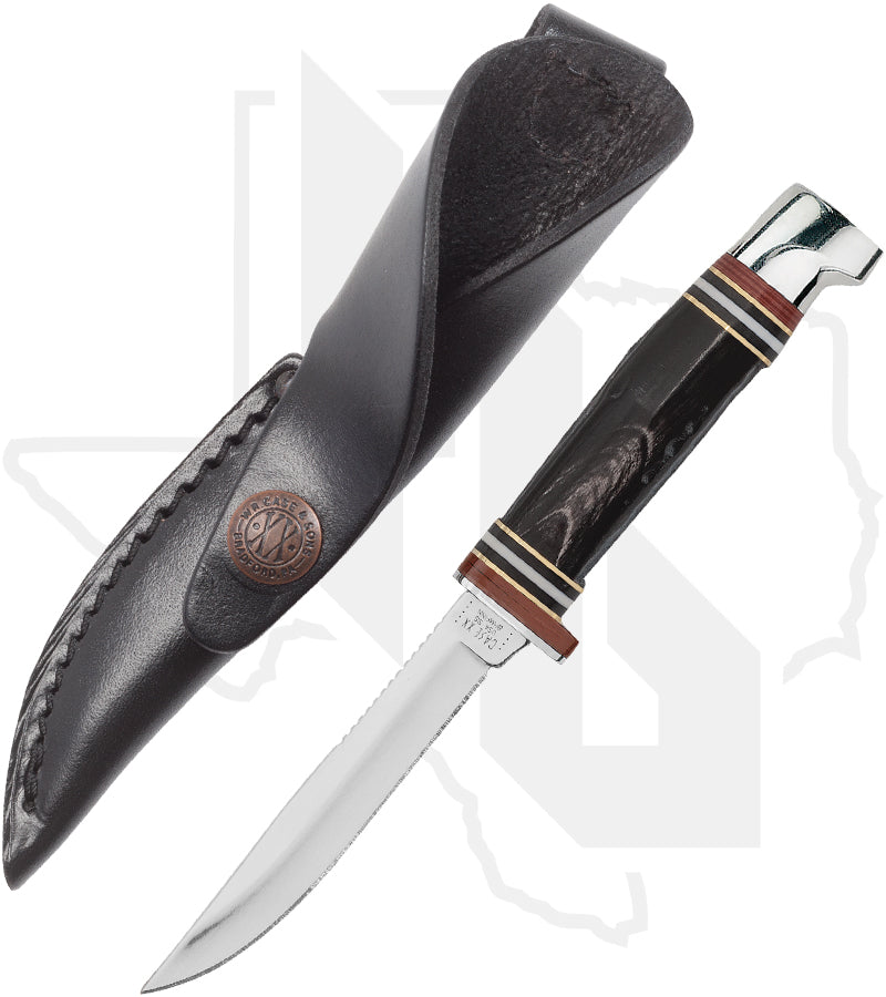 W.R. Case Mini FINN Hunter 17916 - Buffalo Horn (BHMFINN SS)
