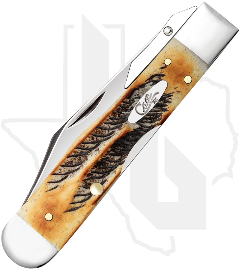 W.R. Case Cheetah Cub 65349 - 6.5 BoneStag, Jigged (6.511 1/2L SS)