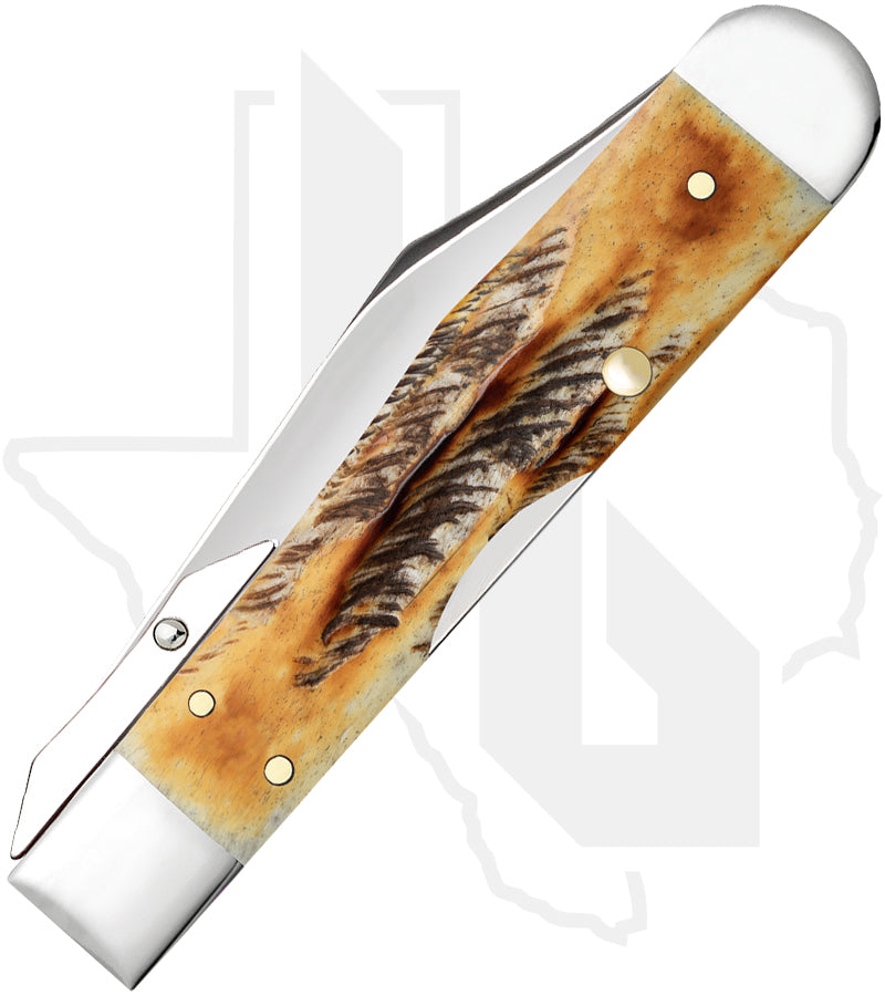 W.R. Case Cheetah Cub 65349 - 6.5 BoneStag, Jigged (6.511 1/2L SS)
