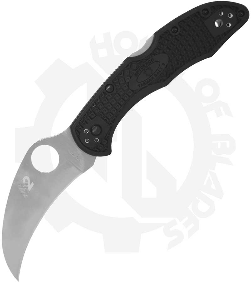 Spyderco Tasman Salt 2 C106PBK2 - Black FRN