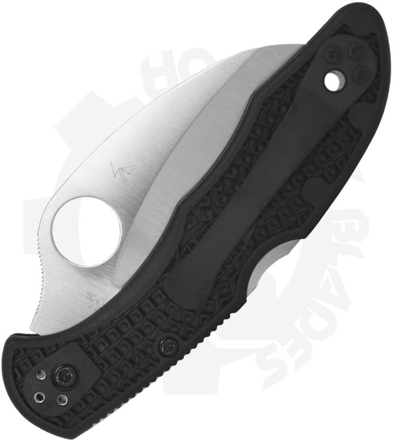 Spyderco Tasman Salt 2 C106PBK2 - Black FRN