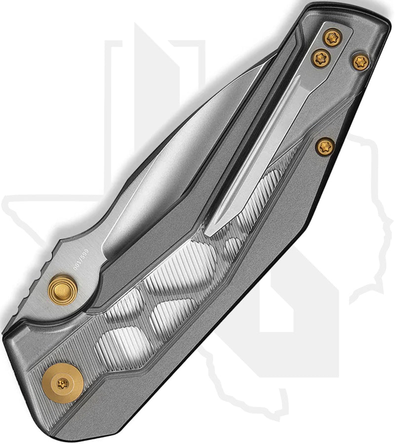 CIVIVI Wellmax C24008C-1 - Gray Aluminum, Clear Lexan Inlay, Satin