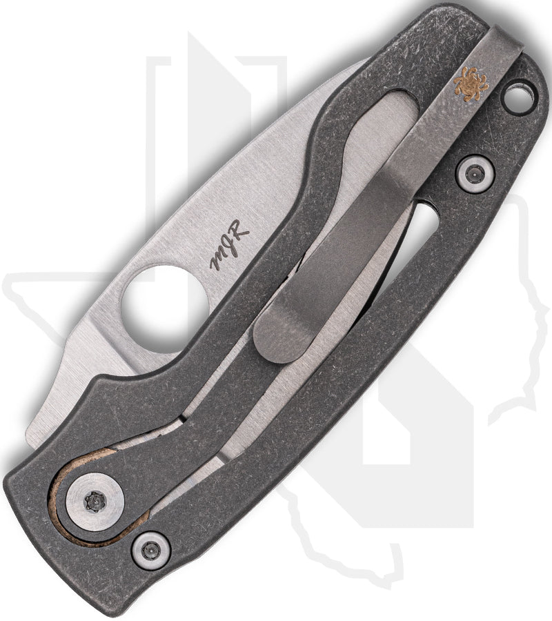 Spyderco PITS 2 C269TIP - Titanium