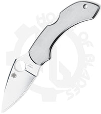 Spyderco Dragonfly C28P - Stainless Steel