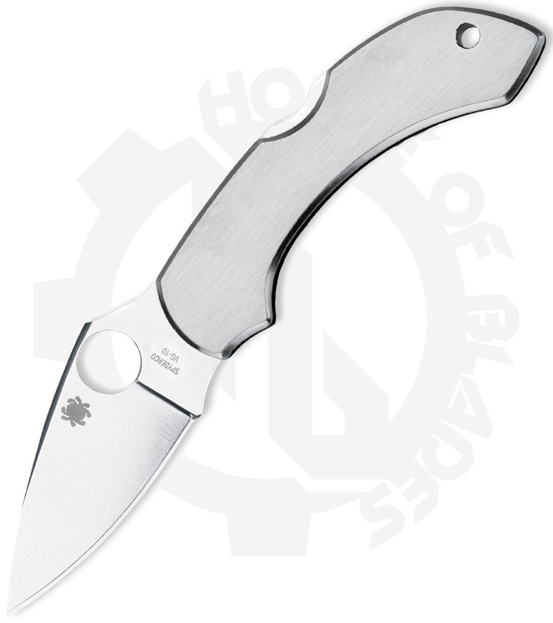 Spyderco Dragonfly C28P - Stainless Steel