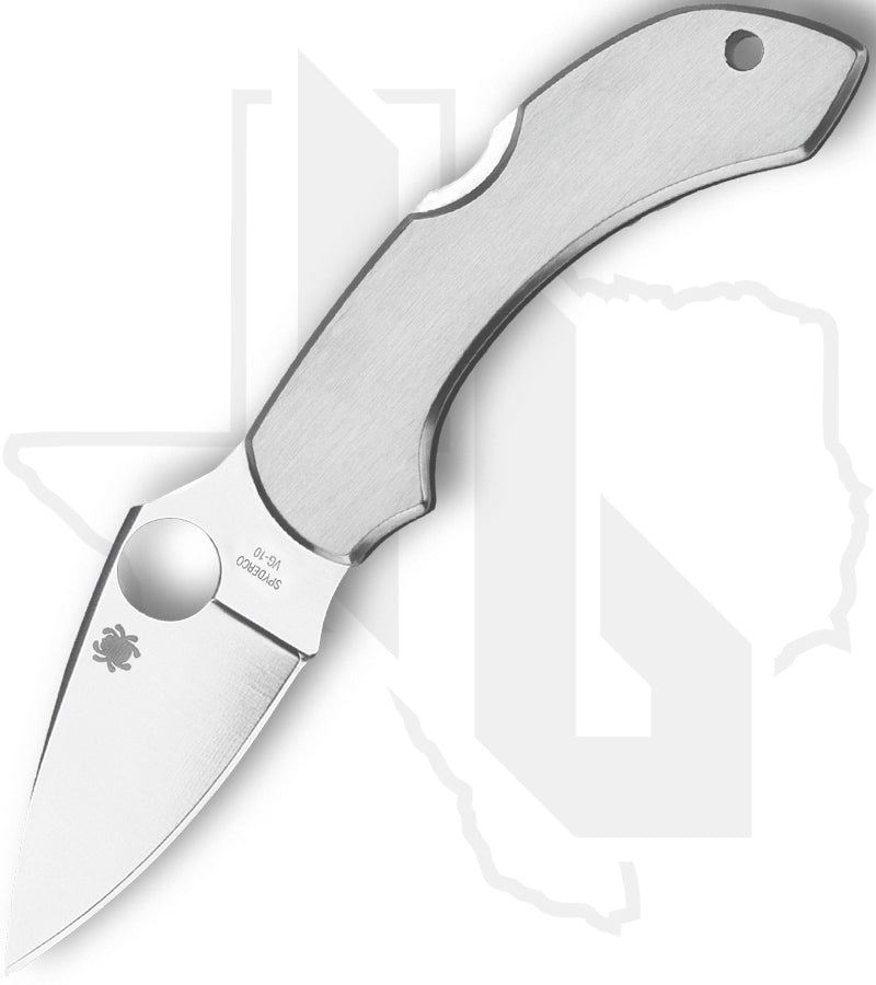 Spyderco Dragonfly C28P - Stainless Steel
