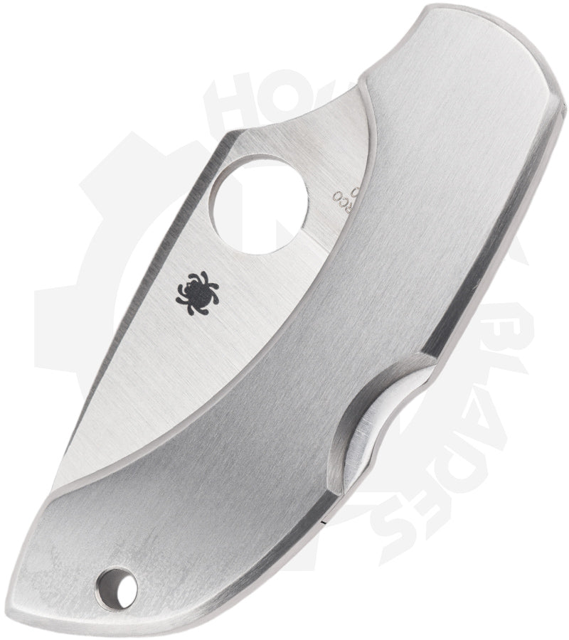 Spyderco Dragonfly C28P - Stainless Steel