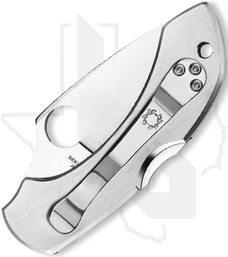 Spyderco Dragonfly C28P - Stainless Steel