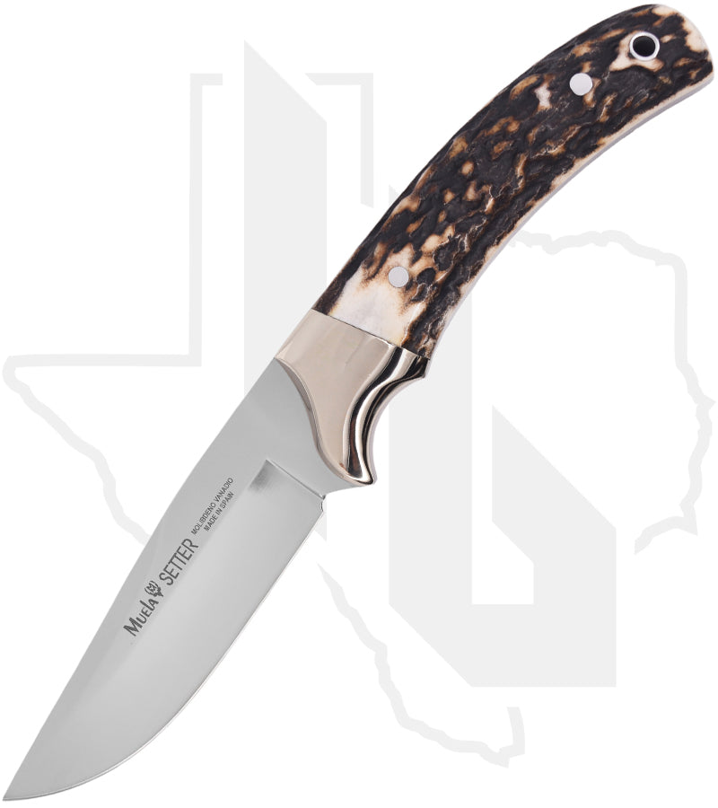 Muela Setter-11A 02MU043 - Stag