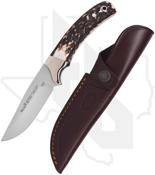 Muela Setter-11A 02MU043 - Stag