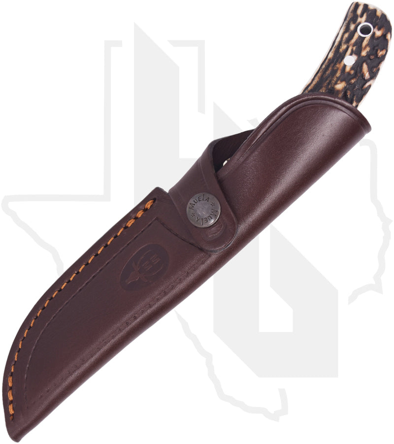 Muela Setter-11A 02MU043 - Stag